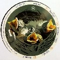 HUNEE / フニー / BROTHER/BABEL