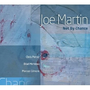 JOE MARTIN / ジョー・マーティン / NOT BY CHANCE