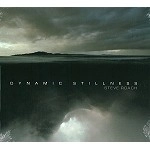 STEVE ROACH / スティーヴ・ローチ / DYNAMIC STILLNESS
