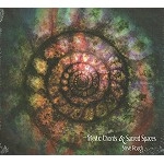 STEVE ROACH / スティーヴ・ローチ / MYSTIC CHORDS AND SACRED SPACES PART