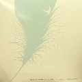 ROBAG WRUHME / ロバッグ・ルーメ / LAMPETEE