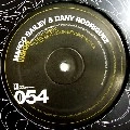 MARCO BAILEY & DANY RODRIGUEZ / VISION