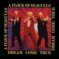 A FLOCK OF SEAGULLS / ア・フロック・オブ・シーガルズ / DREAM COME TRUE