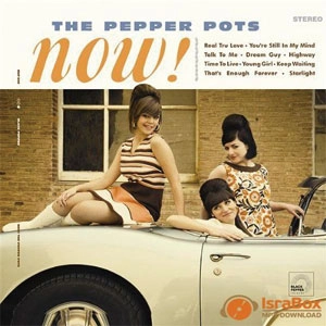 PEPPER POTS / ペッパーポッツ / NOW! (LP)