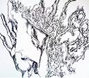 lliese / ＥＰ（ＣＤＲ）