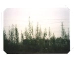 大野まどか / 光の瀬音（ＣＤＲ）