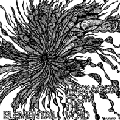ELEMENTAL / MESSAGES FROM THE VOID