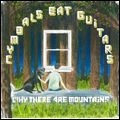 CYMBALS EAT GUITARS / シンバルズ・イート・ギターズ / WHY THERE ARE MOUNTAINS