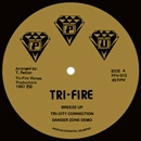ROBBIE M & TERRY PATTON / ロビー・エム・アンド・テリー・パットン / TRI-FIRE