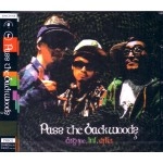 BIG JOE, INI, DJ KEI / ＰＡＳＳ　ＴＨＥ　ＢＡＣＫ　ＷＯＯＤＳ