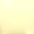 TOP CAT / トップ・キャット / CHAMPION DJ LP(PROMO)