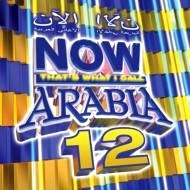 V.A.(NOW ARABIA) / V.A.(ナウ・アラビア) / NOW ARABIA 12