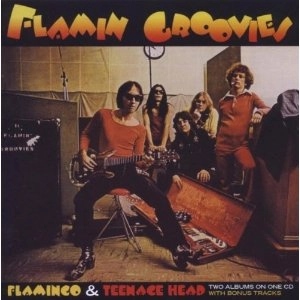 FLAMIN' GROOVIES / フレイミン・グルーヴィーズ / FLAMINGO/TEENAGE HEAD