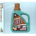 DJ ASARI / ＲＩＳＥ-2009 BEST OF WINTER HITS-