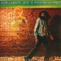 DON CARLOS / ドン・カルロス / JUST A PASSING GLANCE