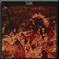 LAMB / ラム / BRING OUT THE SUN