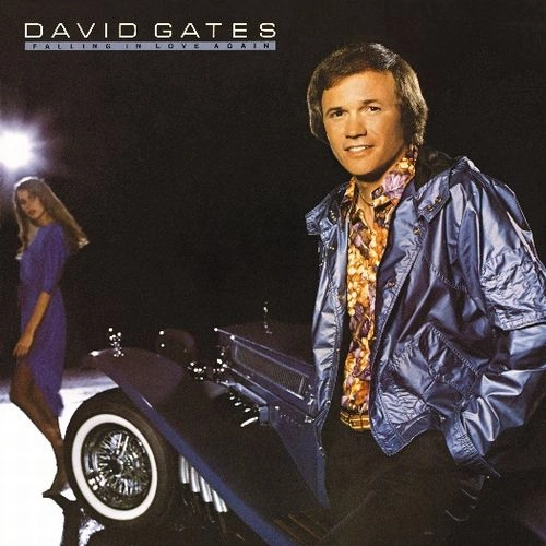 DAVID GATES / デヴィッド・ゲイツ / FALLING IN LOVE AGAIN (CD) / FALLING IN LOVE AGAIN