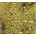 HUGO RACE / BETWEEN HEMISPHERES