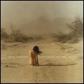 BEN HARPER / ベン・ハーパー / DIAMONDS ON THE INSIDE