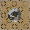 RACE HORSES / MAN IN MY MIND EP