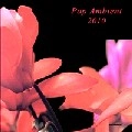 V.A.(POP AMBIENT) / POP AMBIENT 2010