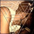 SOUND TRIBE SECTOR NINE / サウンド・トライブ・セクター9 / アド・エクスプロラータ