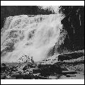 CELER / CLOSE PROXIMITY AND THE UNHINDERED CARE-AL