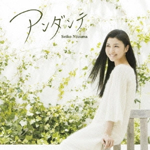 SEIKO NIIZUMA / 新妻聖子 / アンダンテ