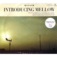 V.A. (IN YA MELLOW TONE) / ＩＮＴＲＯＤＵＣＩＮＧ　ＭＥＬＬＯＷ