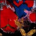 NADJA / ナジャ / UNDER THE JAGUAR SAN