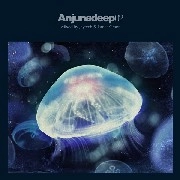 JAYTECH & JAMES GRANT / Anjunadeep 02