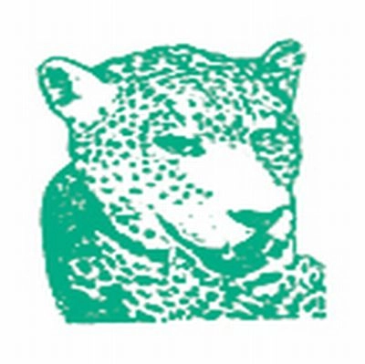 TIGER & WOODS / タイガー&ウッズ / CADDY SHAG EP