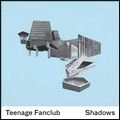 TEENAGE FANCLUB / ティーンエイジ・ファンクラブ / シャドウズ