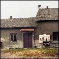 CELER / BRITTLE