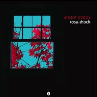 ANDRE MATOS(JAZZ/GUITAR) / アンドレ・マトス / ROSA SHOCK