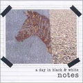 A DAY IN BLACK AND WHITE / アデイインブラックアンドホワイト / NOTES