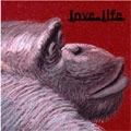 VA (APE MUST NOT KILL APE RECORDS) / LOVE LIFE