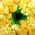 OSKAR OFFERMANN / オスカー・オファーマン / APPLE CRUMBLE BENEATH MY FEET