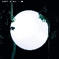 RIPPERTON / リッパートン / NIWA