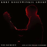 KURT ROSENWINKEL / カート・ローゼンウィンケル / レメディ～ライブ・アット・ビレッジ・バン