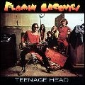 FLAMIN' GROOVIES / フレイミン・グルーヴィーズ / TEENAGE HEAD
