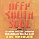 V.A. (DEEP SOUTH SOUL) / DEEP SOUTH SOUL