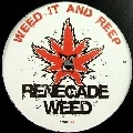 CHOPSTICK DUBPLATE / CAN'T MOVE RASTA