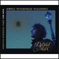 DAVID MAX / SIMPLE PSYCHEDELIC PLEASURES