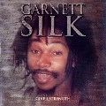 GARNETT SILK / ガーネット・シルク / GIVE I STRENGTH