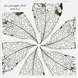 THE PINEAPPLE THIEF / パイナップル・シーフ / 3000 DAYS