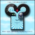 CHAMELEONS / カメレオンズ / WHAT DOES ANYTHING MEAN? BASICALLY / WHAT DOES ANYTHING MEAN? BASICALLY 