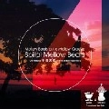 DJ 平岩 克規 / ＳＰＩＲＡＬ　ＭＥＬＬＯＷ　ＢＥＡＴＳ