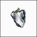 WEEN / ウィーン / WHITE PEPPER (180G)