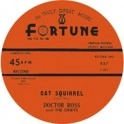 DOCTOR ROSS / ドクター・ロス / CAT SQUIRREL + THE SUNNYLANDHE RAIN